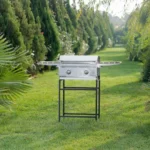 باربیکیو گازی آترا