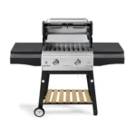 باربیکیو گازی افروزش اکو 100