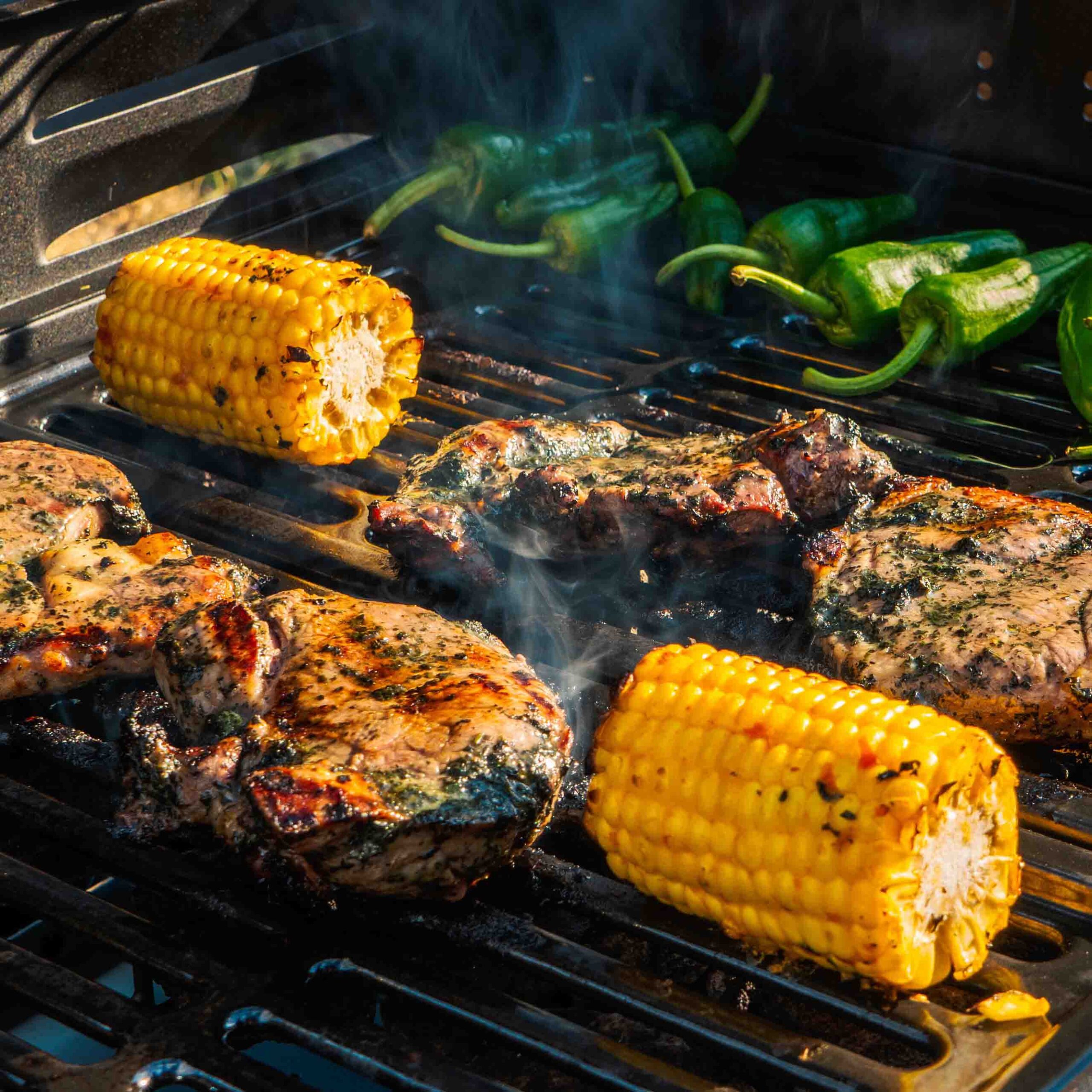 مزایای پخت غذا به روش باربیکیو